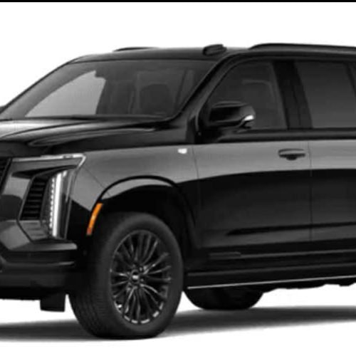 WhatsApp Image 2026-02-04 at 7.53.44 PM